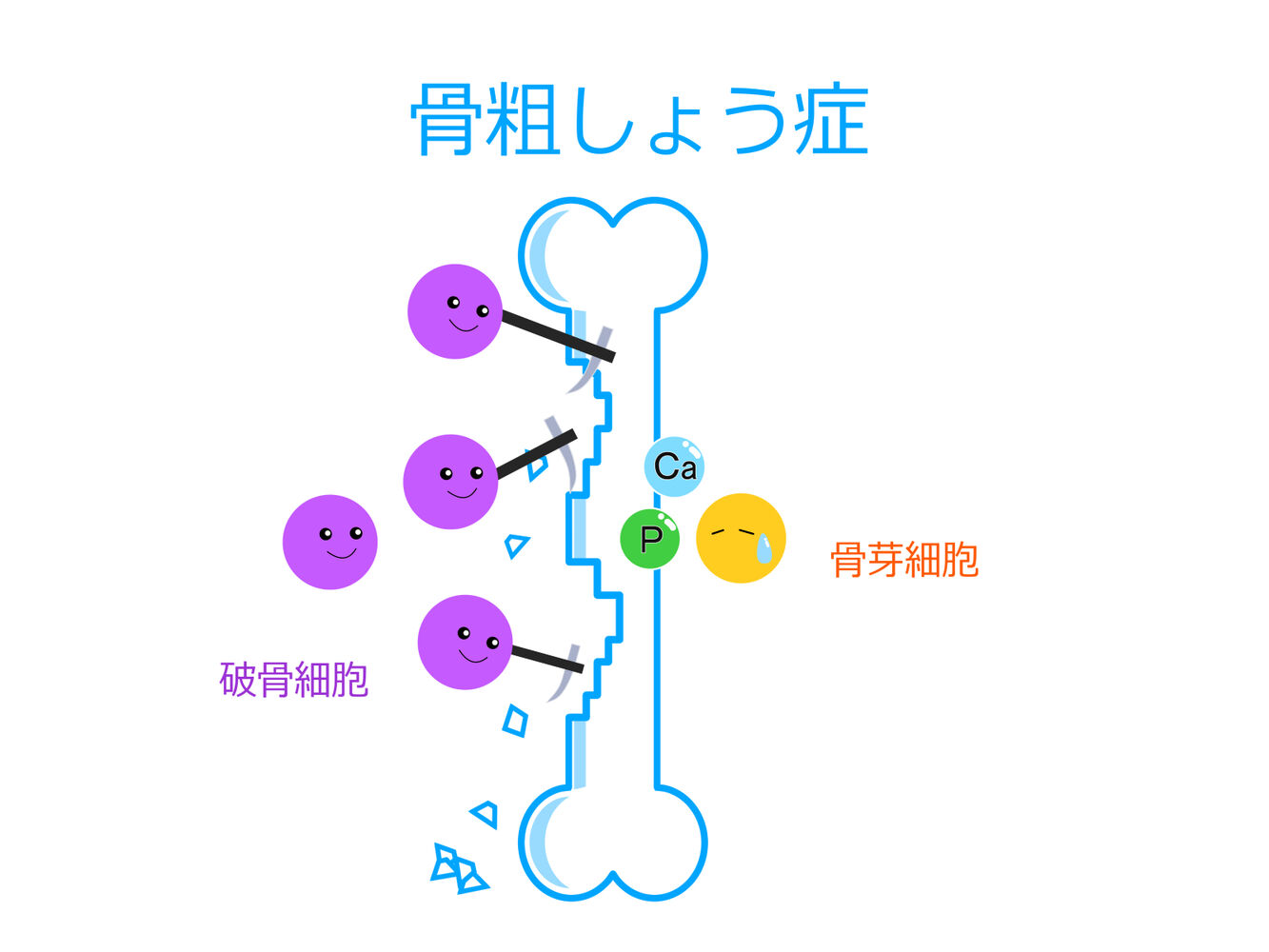 ブログ