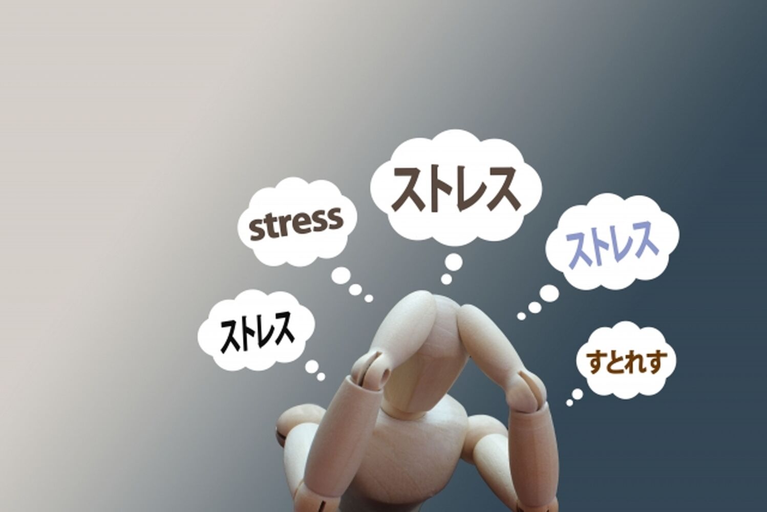 画像2915