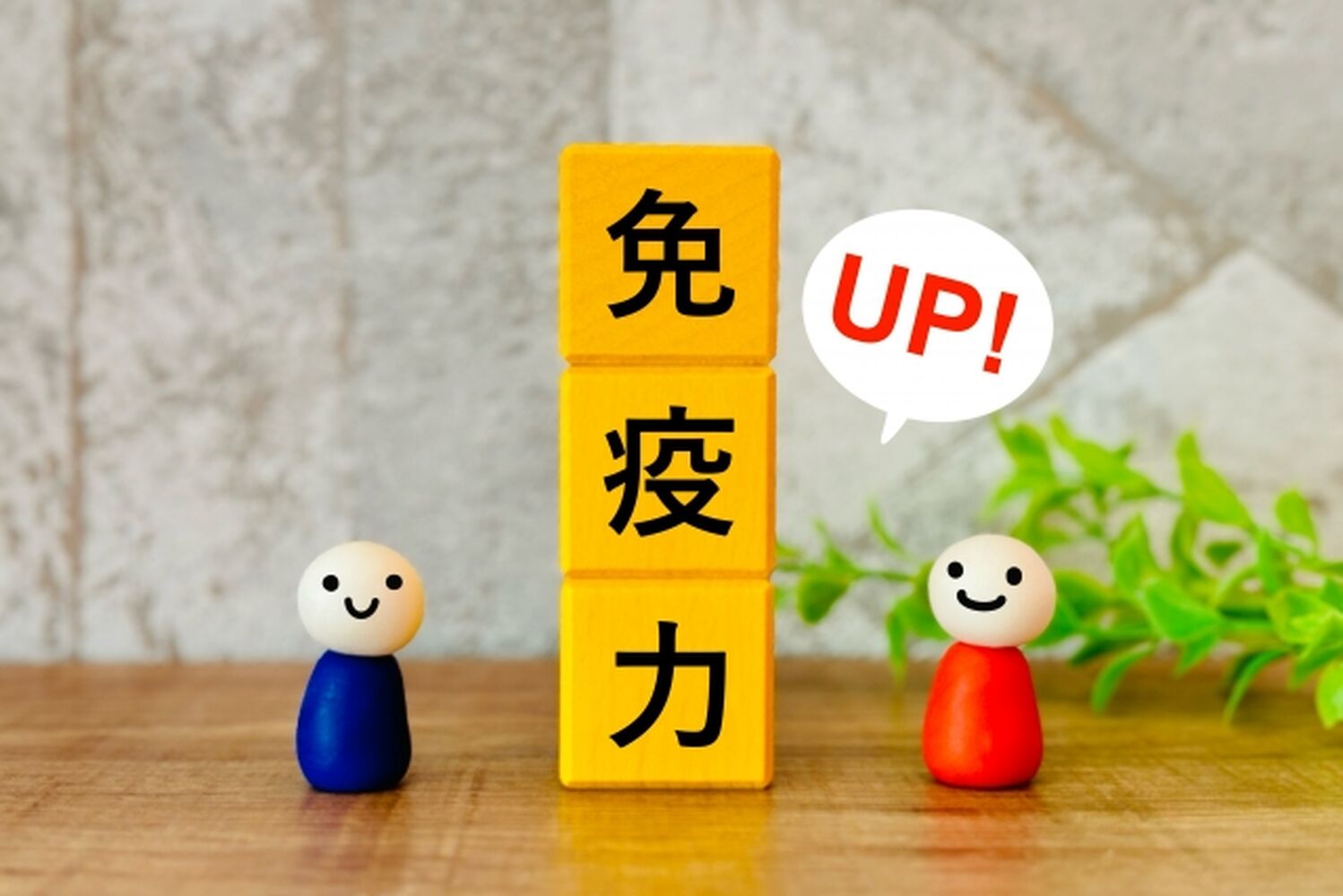 画像3047
