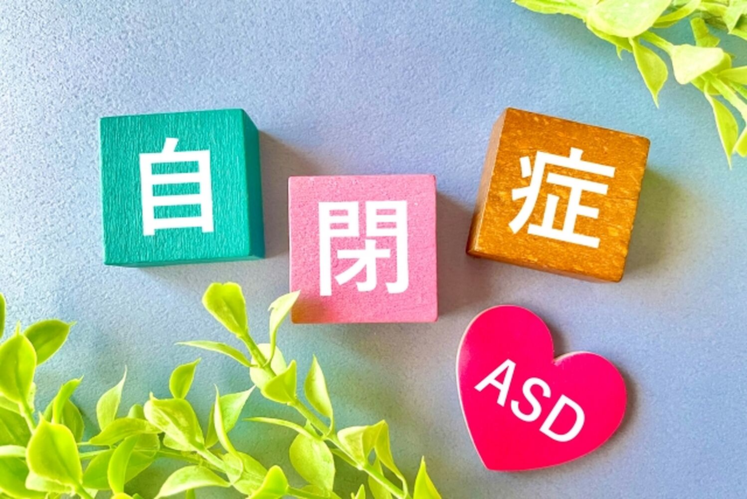 画像3535