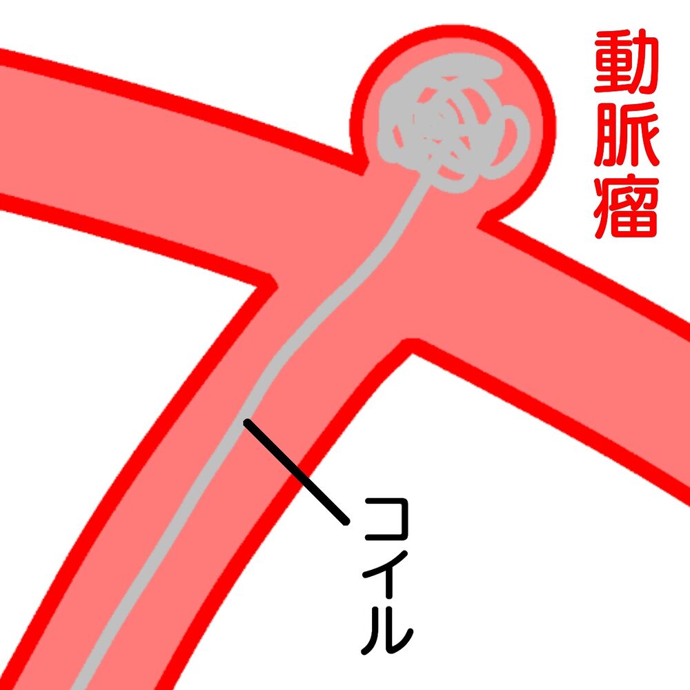 画像3677