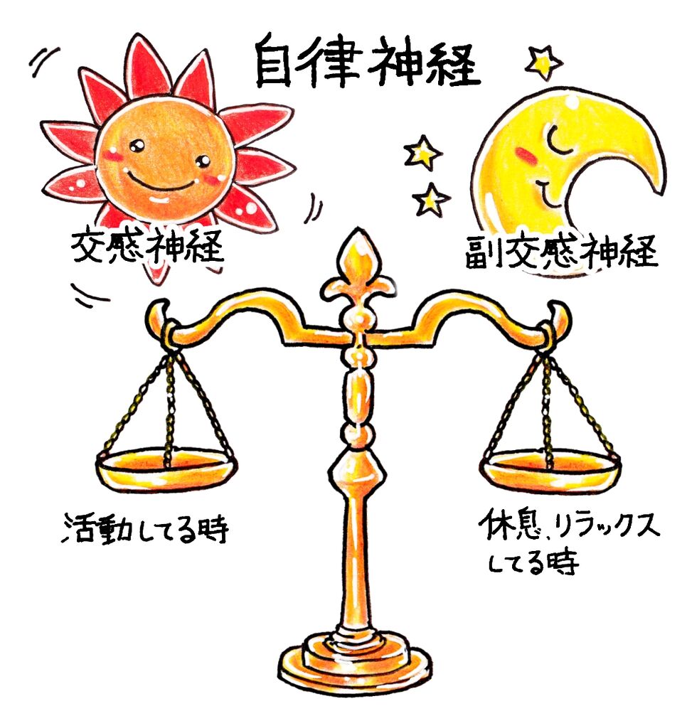 ブログ