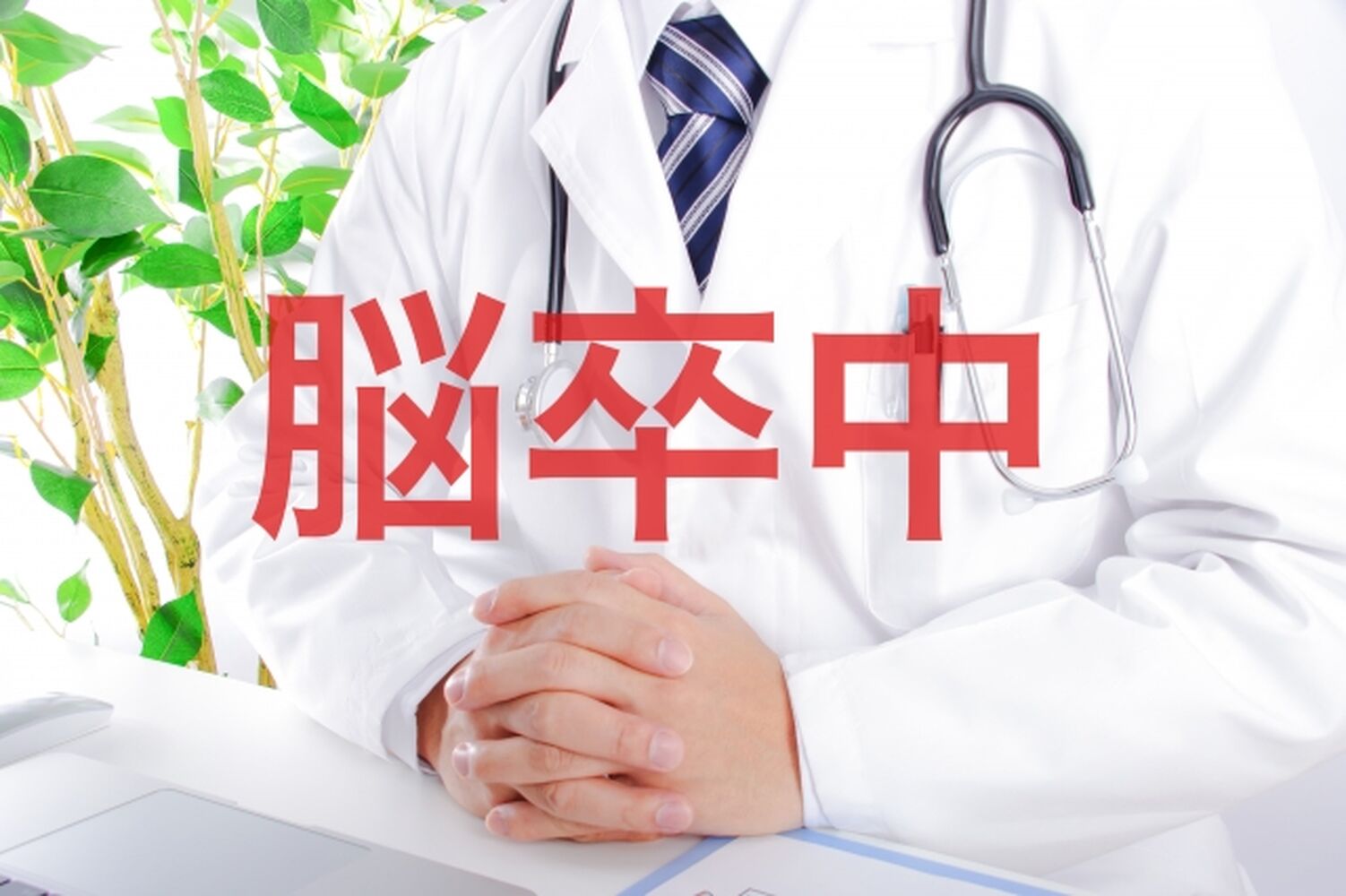 画像4033